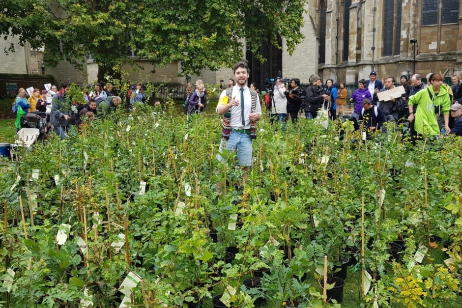 More than 400 MPs join Extinction Rebellion reforesting ...