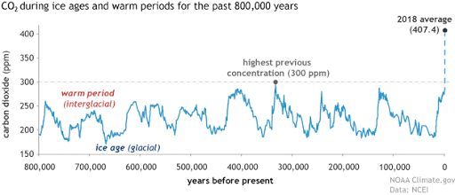 CO2 during ice ages and warm periods for the past 800000 years