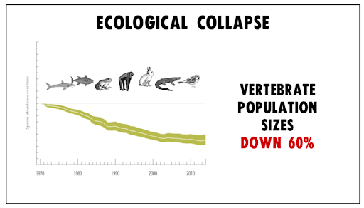 Ecological Collapse