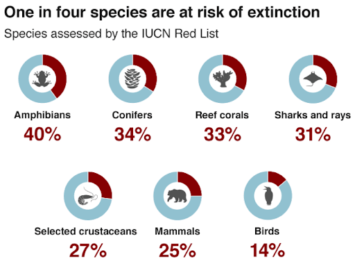 One in four species are at risk of extinction