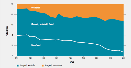 Global trends in the state of the world's marine fish stocks, 1974-2015