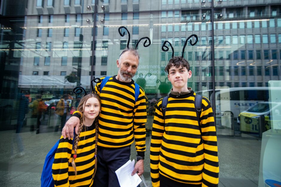 Family of bees at The Big One