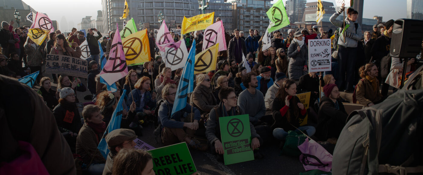 Extinction Rebellion locla groups of a self-organising system.