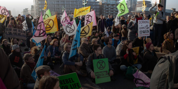 Extinction Rebellion locla groups of a self-organising system.
